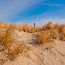 Dunes on Ameland by Friedhelm Peters