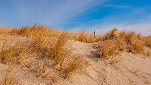 Duinen op Ameland van Friedhelm Peters