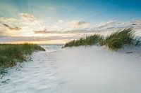 Baltic Sea dream in the golden evening light