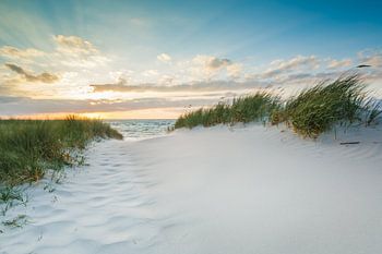Ostseetraum  im goldenen Abendlicht