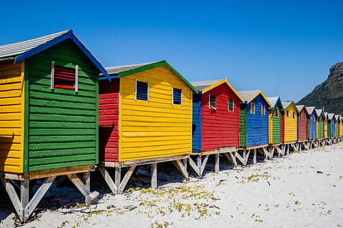 South Africa - Safaris, coastlines and vineyards