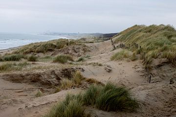 Le long du paysage de dunes sur Sebastian Stef