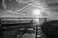 138. DOCK TALK