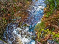 Beautiful Colours Of Nature With Flowing River