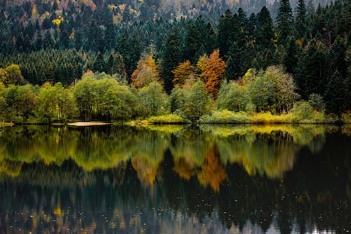Réflexion sur la suite