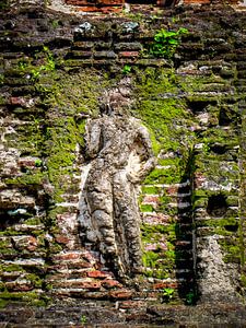 Alt bemoosten Stein Tempel Wand geprägten Bild, Sri Lanka