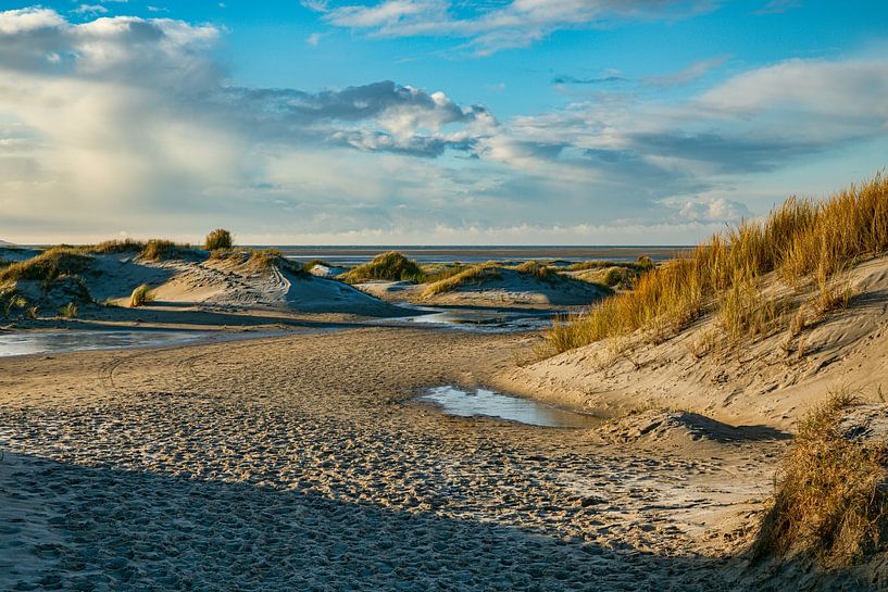nature reserve de hors on the southern part of the island of Texel by ChrisWillemsen