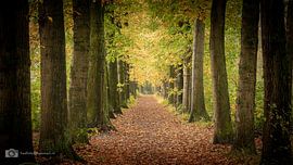 Herfst in Scherpenzeel van Fred Bekema