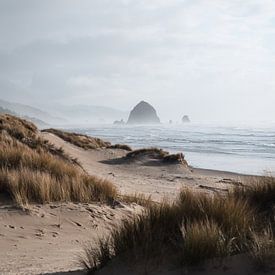 Haystack Rock à Cannon Beach sur swc07