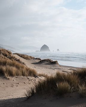 Haystack Rock at Cannon Beach by swc07