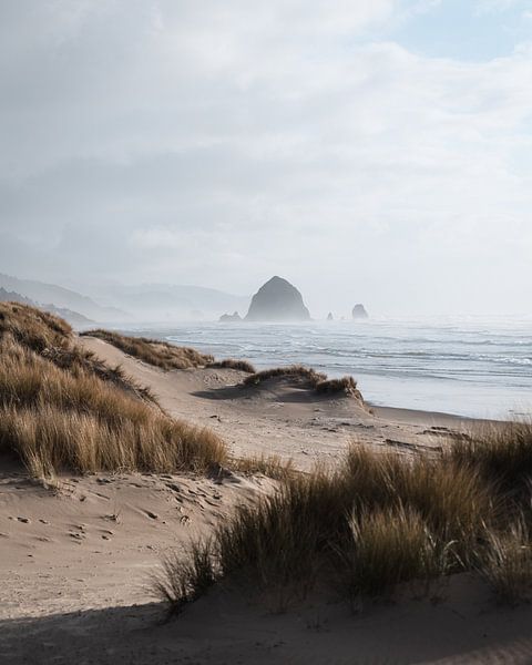 Hooibergrots bij Cannon Beach van swc07