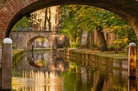 Herbst auf dem neuen Kanal