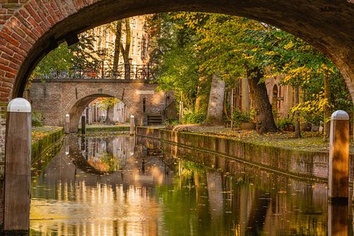 Herfst op de nieuwe gracht