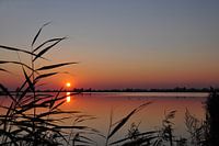 Sunset in National Park Oostvaardersplassen