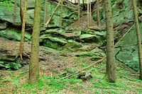 Steinbruch im Wald