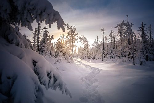 Winter hike in the Harz Mountains