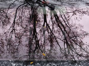 Urban Reflections 64