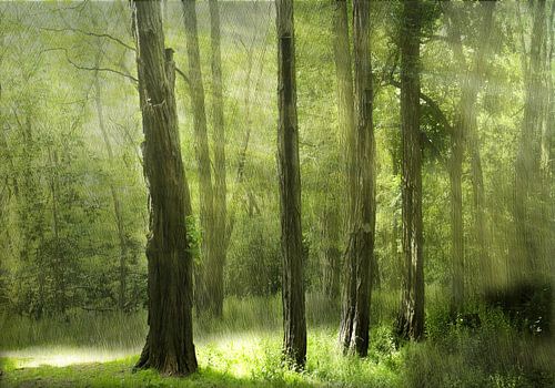 groen licht