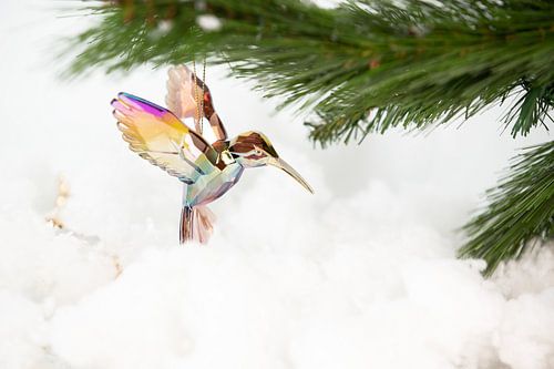 Pendentif colibri coloré dans la neige sur Senta Bemelman