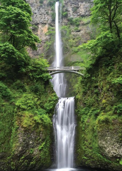 Bridge to Nature by Randy Barbara