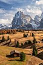 Herfst op de Seiser Alm van Achim Thomae thumbnail