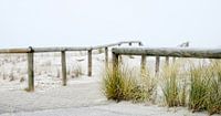 Duinen