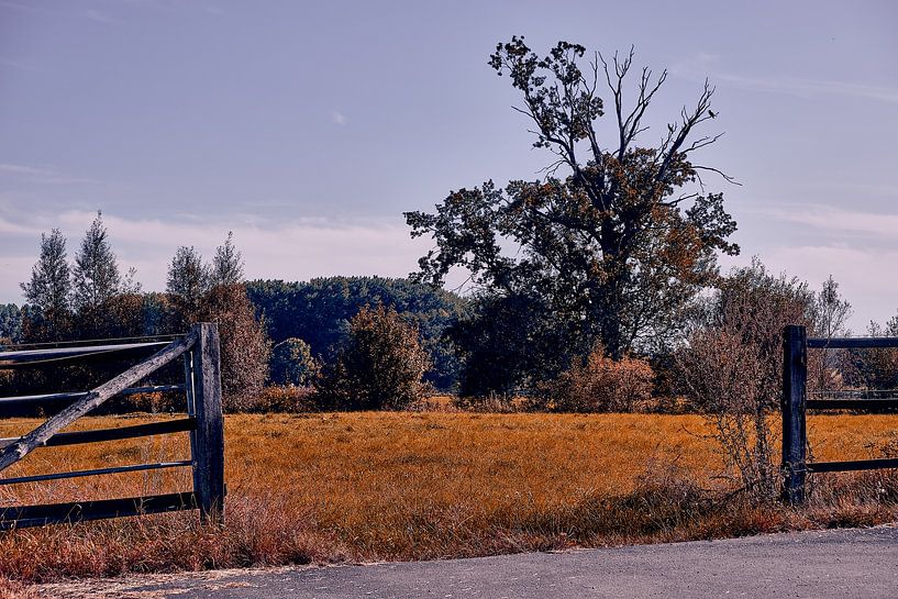 Herbstliche Stimmung in Bad Salzuflen I von Momentaufnahme | Marius Ahlers