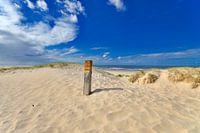 Magnifique coin de plage