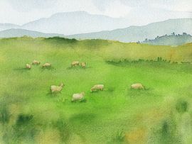 Sheep Grazing in Green Field by Karen Kaspar
