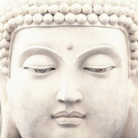 Buddha von Lars van de Goor