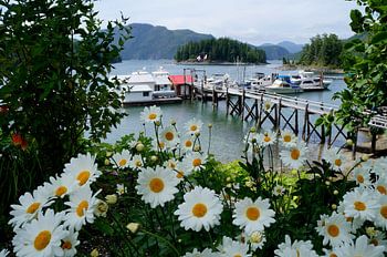 Ruhiger und schöner kleiner Hafen Knight Inlet