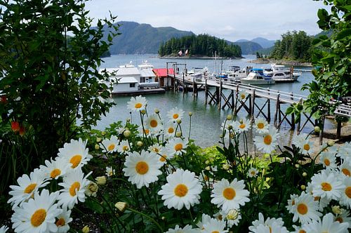 Ruhiger und schöner kleiner Hafen Knight Inlet