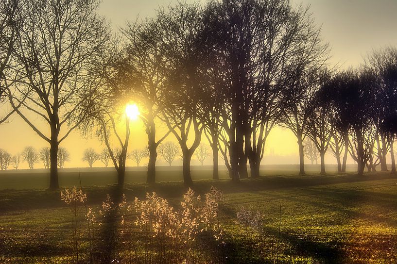 Schaduw en achtergrondverlichting van Edgar Schermaul