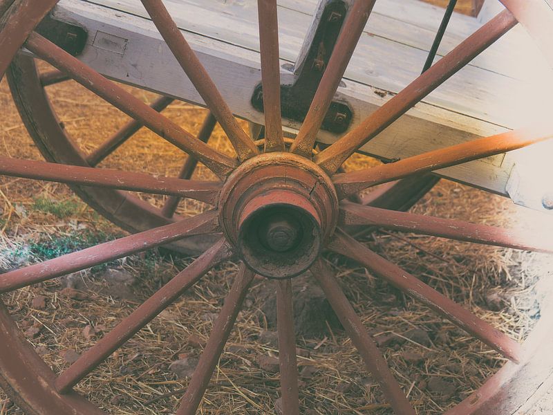 Détail 10 par Miriam Meijer, en pleine campagne.....