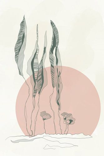 Reaching for the farthest heights