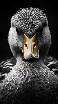 Bird portrait in black and white minimalist wildlife art