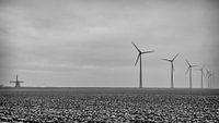 molens, delfzijl, eemshaven van Fokko Westerhof thumbnail