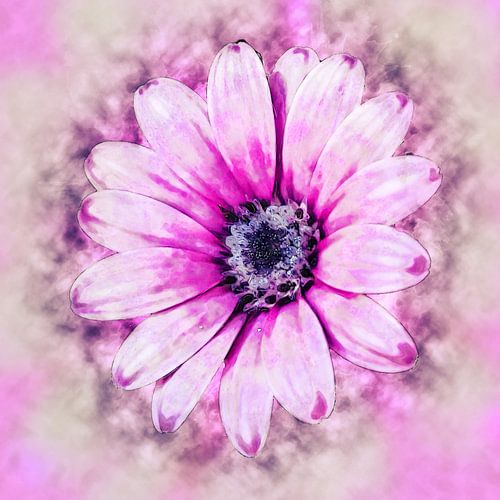 Spaanse margriet (kunst)
