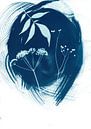 Minimalist Blue Flowers by Lies Praet thumbnail