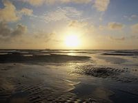 Het Wad