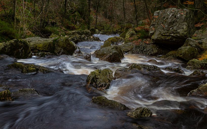 Belgische Ardennen von Mike Broers