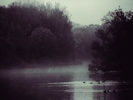 Limburg Landscape #45 by Studio Keserű