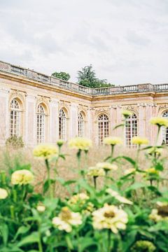 Grand Trianon Versailles sur Patrycja Polechonska