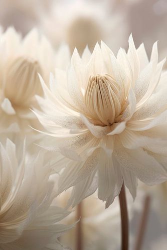 Pastel Nature Macro No 6 by Treechild