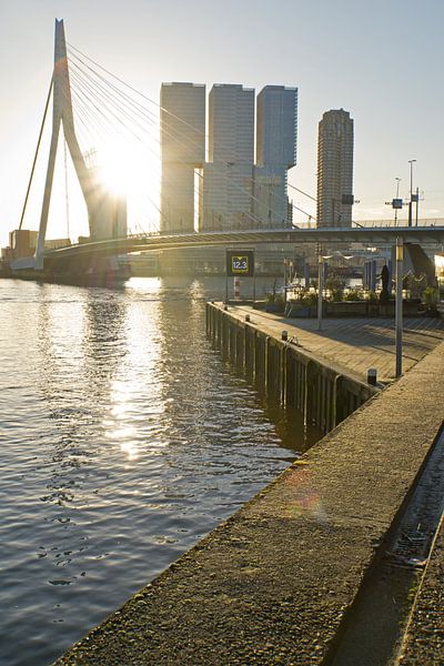 Erasmusbrug en kop van zuid in Rotterdam van Remco Swiers