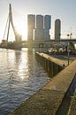 Pont Erasmus et extrémité sud de Rotterdam par Remco Swiers Aperçu