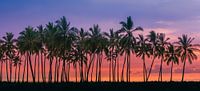 Sonnenuntergang bei Puuhonua o Honaunau, Hawaii von Henk Meijer Photography Miniaturansicht