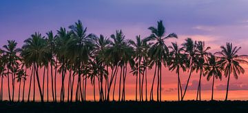 Sonnenuntergang bei Puuhonua o Honaunau, Hawaii von Henk Meijer Photography