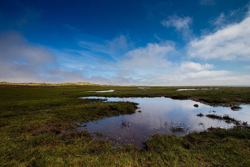Ameland, Landscape by Nynke Altenburg