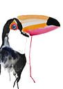 Tukan - Kunstdruck Spezial Illustration tropischer Vögel von Angela Peters Miniaturansicht